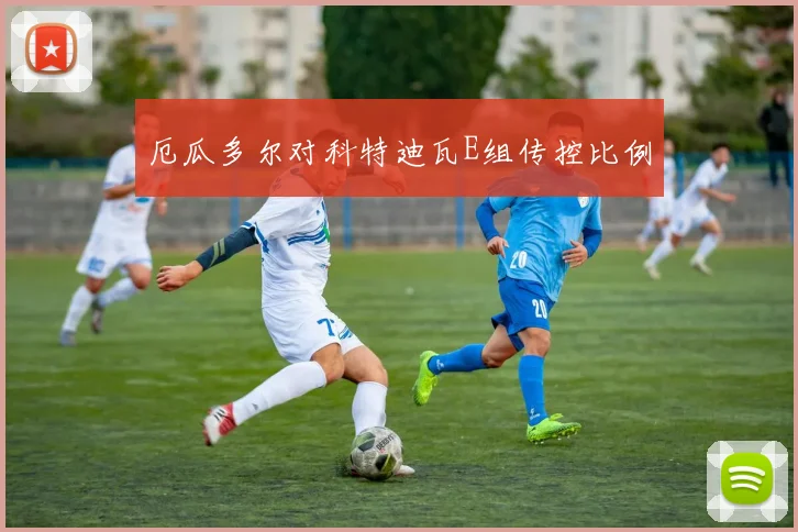 厄瓜多尔对科特迪瓦E组传控比例