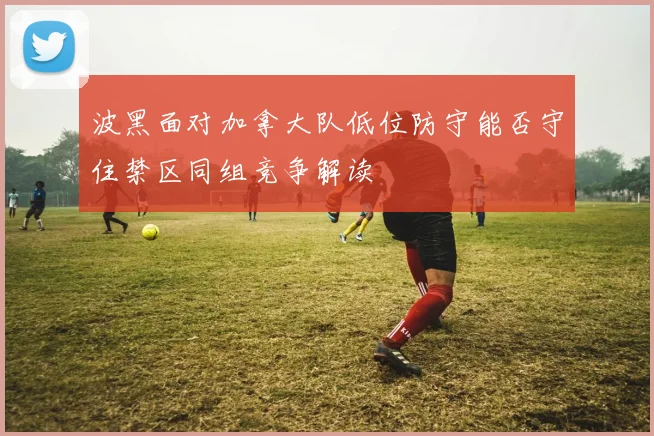 波黑面对加拿大队低位防守能否守住禁区同组竞争解读