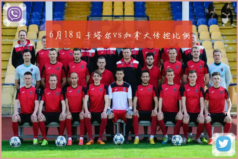 6月18日卡塔尔vs加拿大传控比例